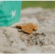 Cure Point CBD maškrty Recovery 100 g veľ. L