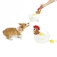 DogLemi Snuffle Toy Hen čuchacia hračka na maškrty 25 cm