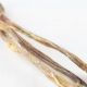 Dr. Animal jahňací penis 200 g