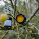 Ecopets balzam na labky a ňufáky s rakytníkom 30 ml