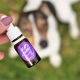 Ecopets Lesná kvapka sérum proti kliešťom a blchám 10 ml