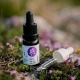 Ecopets Lesná kvapka sérum proti kliešťom a blchám 10 ml