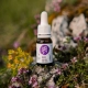 Ecopets Lesná kvapka sérum proti kliešťom a blchám 10 ml
