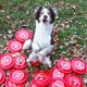 Fastback frisbee Spokojného psa červené 23,5 cm