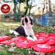 Fastback frisbee Spokojného psa červené 23,5 cm