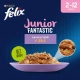 Felix Fantastic Junior Multipack kura a losos v želé 4x 85 g