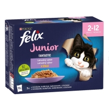 Felix Fantastic Junior Multipack masové receptúry 12x 85 g