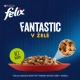 Felix Fantastic Multipack hovädzie a kura v želé 4x 85 g