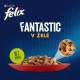 Felix Fantastic Multipack mäsové a rybie receptúry v želé 120x 85 g