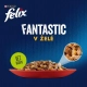 Felix Fantastic Multipack mäsové receptúry v želé 80x 85 g