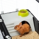 Ferplast Casita 120 klietka pre králika 119 cm