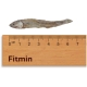 Fitmin Dog & Cat For Life Dried Small Fish 50 g