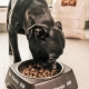 Fitmin Dog Medium/Maxi Maintenance Lamb & Rice 12 kg