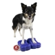 FitPaws balančná kosť Mini modrá (2 ks)