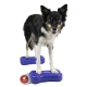 FitPaws balančná kosť Mini modrá (2 ks)