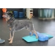 FitPaws balančná pomôcka Ramp 35 cm