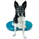 FitPaws balančný disk Duo 60,9 cm