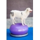FitPaws Donut Trax fialový 55 cm