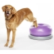 FitPaws Donut Trax fialový 55 cm