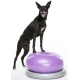 FitPaws Donut Trax fialový 55 cm