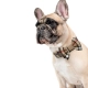 Funky Dog Burberry hnedý kockovaný psí motýlik M