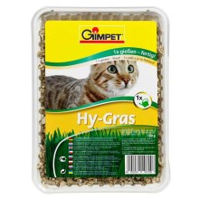 Gimcat Hy-Grass tráva pre mačky 150 g