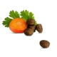 Happy Cat Junior Land Geflügel 1,3 kg