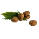 Happy Cat Sensitive Schonkost Niere 1,3 kg