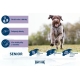 Happy Dog Fit & Vital Senior 12 kg