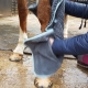 Henry Wag Noodle uterák s návlekmi na ruky 80 cm