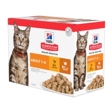 Hill's SP Cat Adult Chicken & Turkey kapsičky 12x 85 g