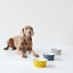 Hunter Eiby keramická miska pre psov 1100 ml žltá