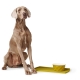 Hunter Eiby keramická miska pre psov 1100 ml žltá