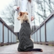 Hunter Malmö sveter pre psov 40 cm šedý