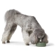 Hunter Osby keramická miska pre psov 1100 ml khaki