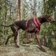 Hurtta Casual ECO obojok škoricový 20-30 cm
