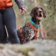 Hurtta Casual ECO obojok škoricový 20-30 cm