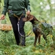 Hurtta Expedition Belt ECO trekový opasok černicový 70-110 cm