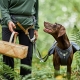 Hurtta Expedition Belt ECO trekový opasok černicový 70-110 cm