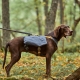 Hurtta Expedition Pack ECO batoh černicový 60-80 cm
