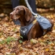Hurtta Expedition Pack ECO batoh černicový 75-95 cm