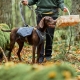 Hurtta Expedition Pack ECO batoh černicový 75-95 cm