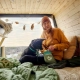 Hurtta Treat Pocket ECO maškrtovník pávia zeleň