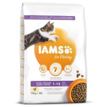 Iams Cat Kitten Chicken 10 kg Iams Cat Kitten Chicken 10 kg
