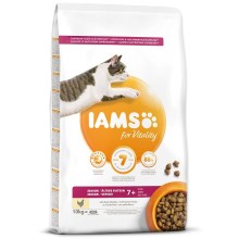 Iams Cat Senior Chicken 10 kg Iams Cat Senior Chicken 10 kg