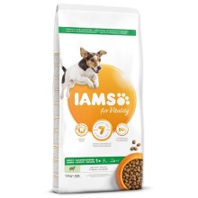 Iams Dog Adult Small & Medium Lamb 12 kg Iams Dog Adult Small & Medium Lamb 12 kg