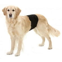 Karlie inkontinenčný pás pre psov 40 cm