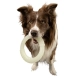 Kiwi Walker Glow Maxi svietiaci kruh 18 cm