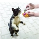 Kong Catnip pre mačky (3 ks)