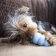 Kong Puppy gumová hračka MIX farieb veľ. S